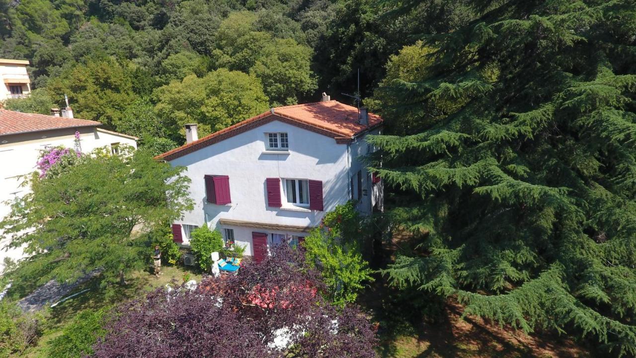 Villa Riviera Chambres Privees Amélie-les-Bains-Palalda Esterno foto