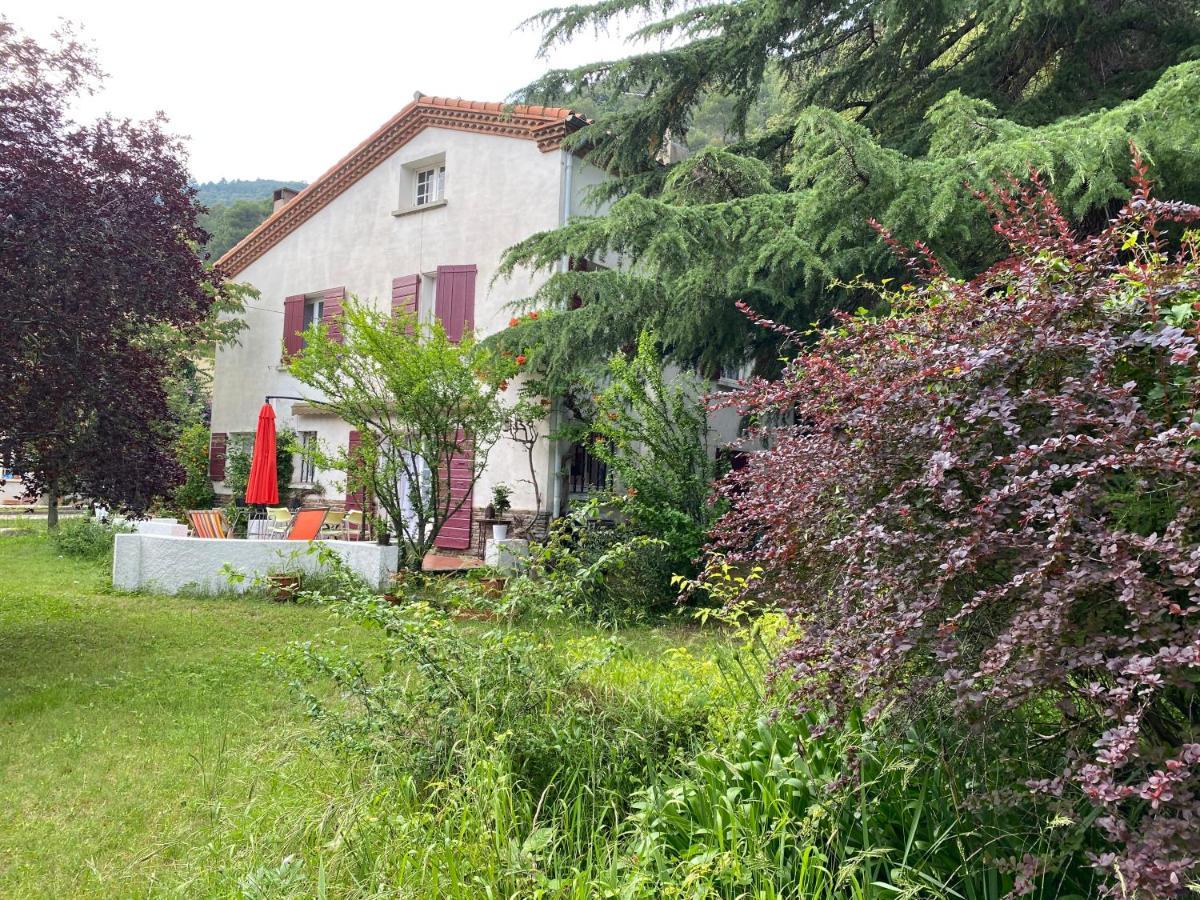 Villa Riviera Chambres Privees Amélie-les-Bains-Palalda Esterno foto